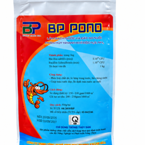 BP POND – Men Vi Sinh Làm Sạch Nước Ao Tôm | Biopro Khánh Hòa