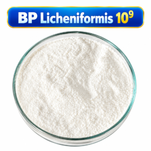 BP LICHENIFORMIS – MEN VI SINH BACILLUS LICHENIFORMIS ĐƠN DÒNG DẠNG BÀO TỬ