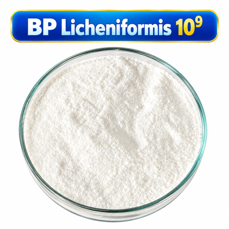 BP LICHENI