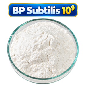 BP SUBTILIS – MEN VI SINH BACILLUS SUBTILIS ĐƠN DÒNG DẠNG BÀO TỬ