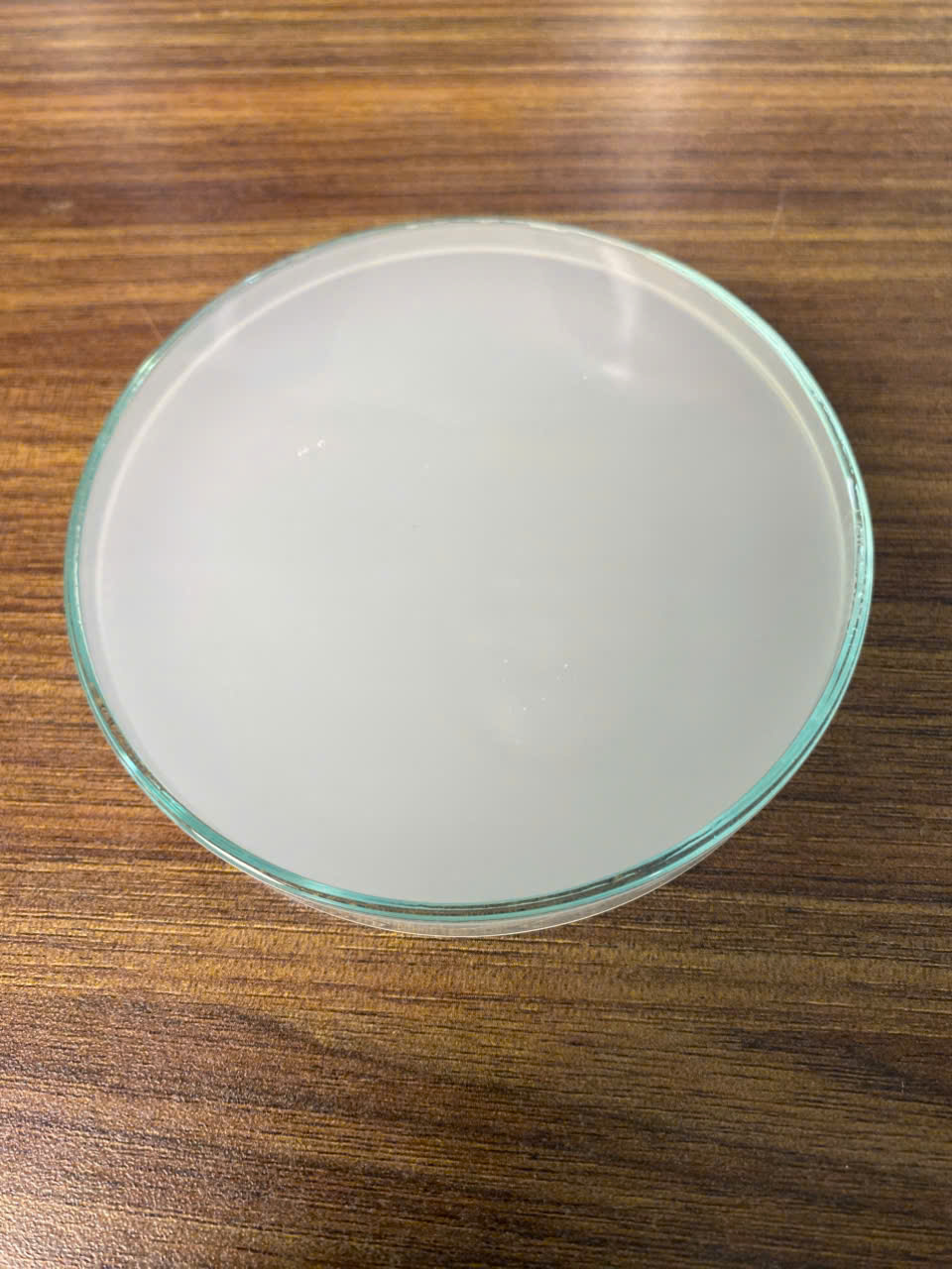 BP NAMI – Khoáng Sữa Cho Tôm Cá | Biopro Khánh Hòa - Ảnh 3