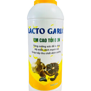 LACTO GARLIC (EM CAO TỎI ĐEN)