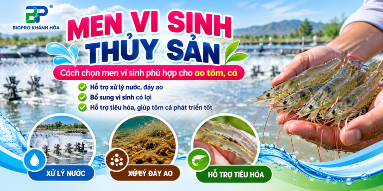 Men vi sinh thủy sản cho ao tôm cá - Biopro Khánh Hòa
